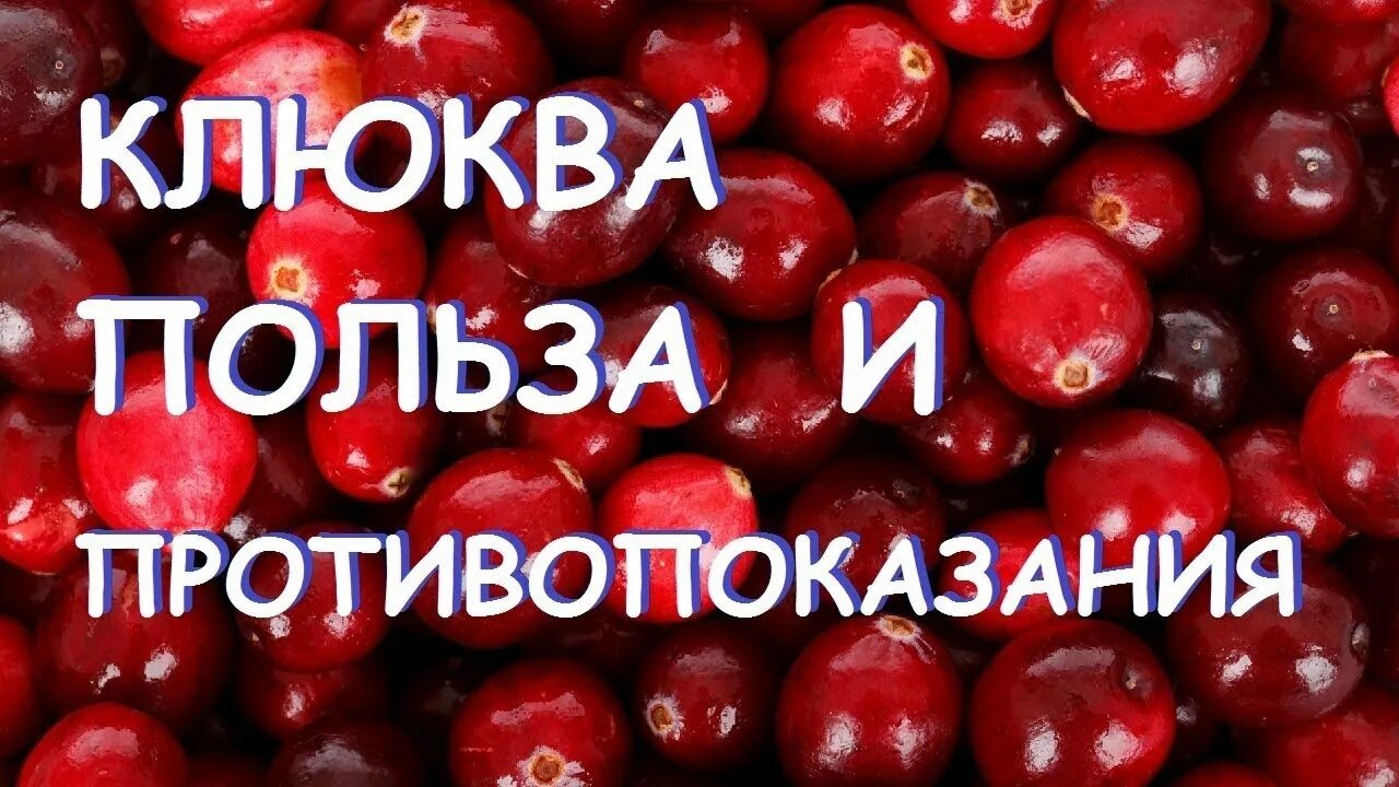 При каких заболеваниях полезна клюква. Клюква противопоказания. клюква вкусно и полезно. клюква противопоказания и побочные эффекты. клюква по армянский.