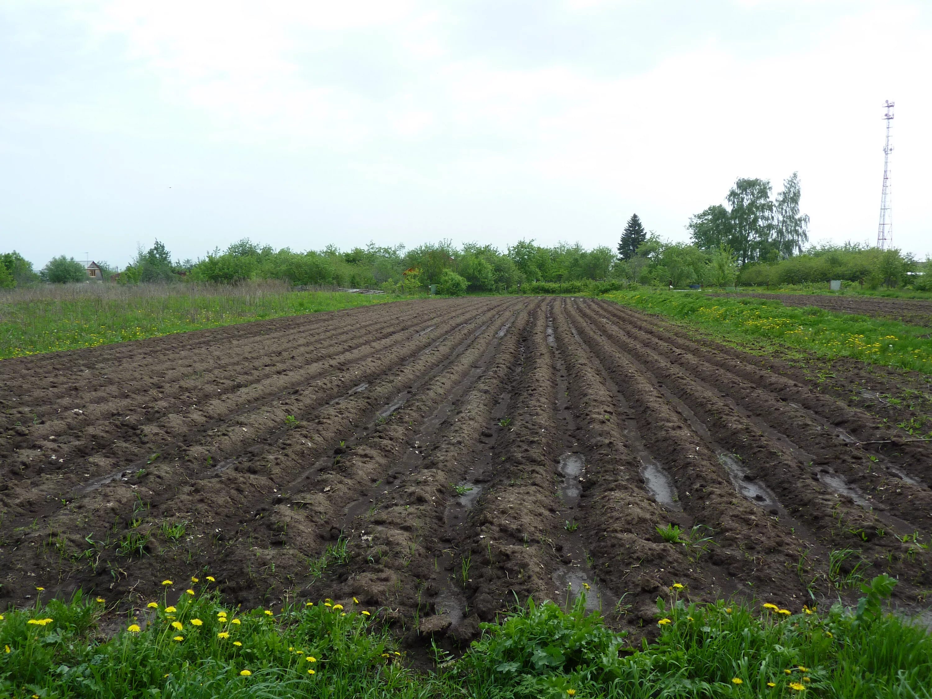вспаханное поле в перспективе. пахотный горизонт почвы. богарное земледелие. вспаханное поле. вспахали 18 поля.
