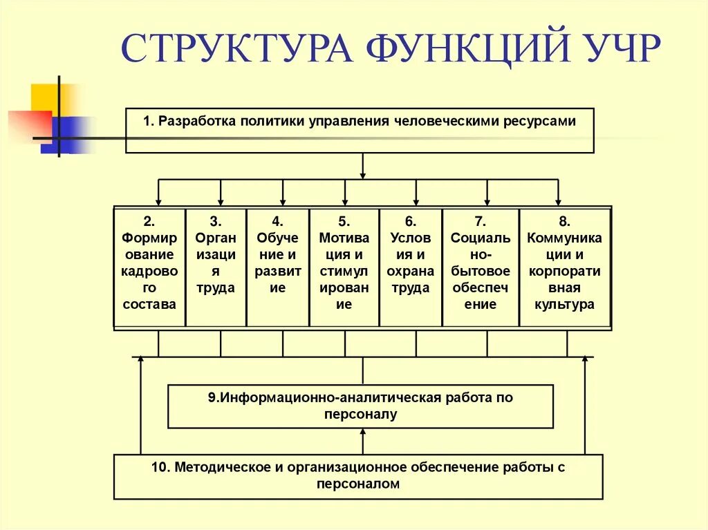 Передача структур функциям. Система управления человеческими ресурсами в организации. Структура управления человеческими ресурсами в организациях. Организационная структура управления человеческими ресурсами схема. Схема функции управления человеческими ресурсами организации.