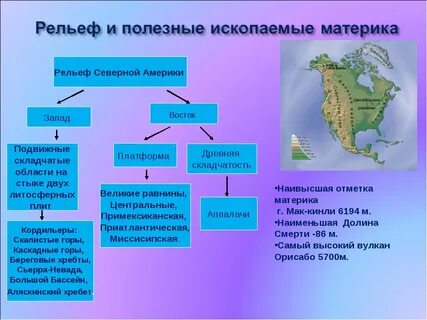 Перечислите крупные формы