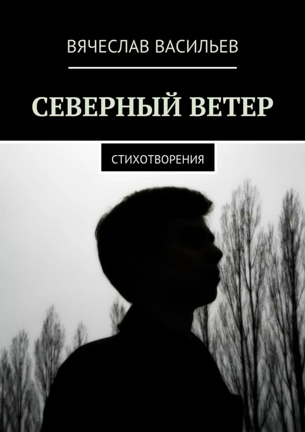 Северный ветер стих. Васильев стихи.