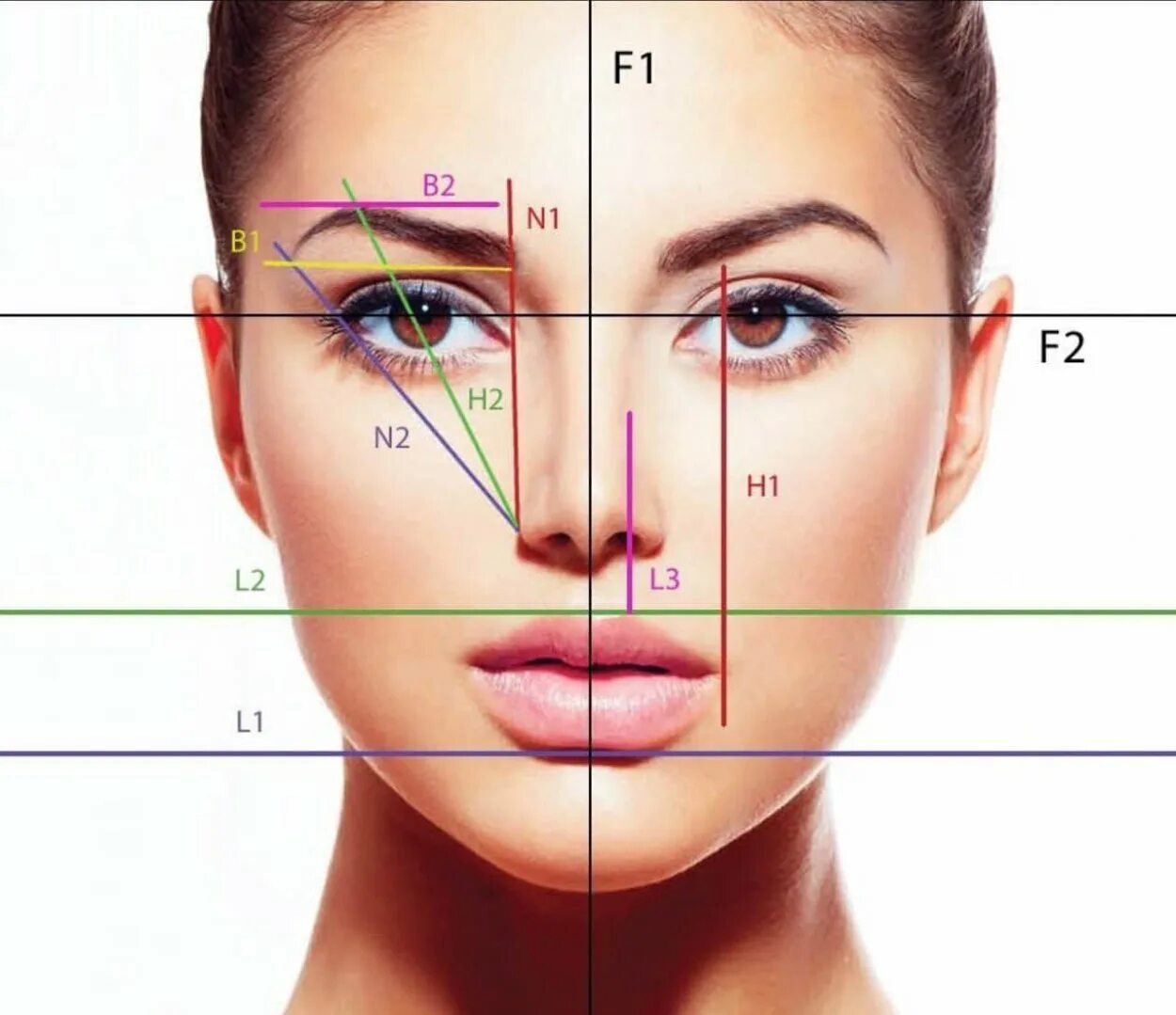 Форма человеческого лица. Внешний осмотр больного. Этапы выполнения макияжа лица. Форма лба. Свойство лица.