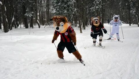 Медведь на горнолыжном склоне