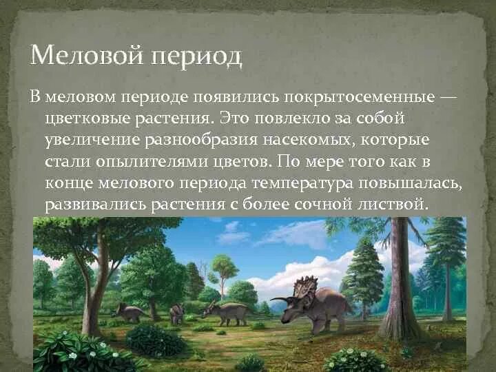 В каком периоде появляются растения. Меловой период мезозойской эры растения. Покрытосеменные цветковые растения мелового периода. Покрытосеменные растения мезозойской эры. Покрытосемянные растения меловой период.