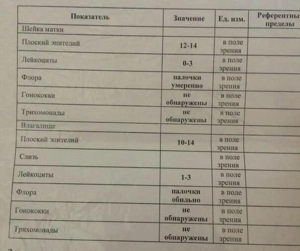 Эпителий какая норма. Эпителий мочи норма. Эпителий в моче норма. Исследование мочи эпителий норма. Эпит клетки в моче норма.