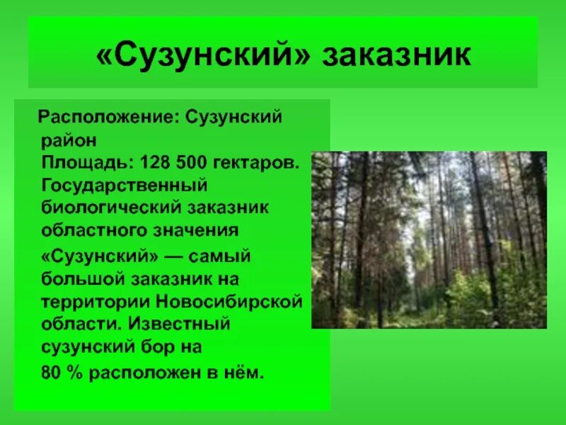 Сузунские заповедники и заказники. Сузунский заказник растения. Заповедники Новосибирской области. Заказники и заповедники Новосибирской области. Какая природная зона в новосибирске