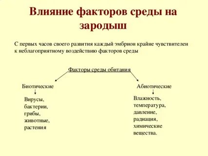 Связь зародыша с окружающей средой