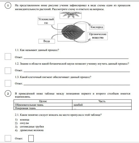 Впр по биологии 6 класс. ВПР по биологии 6 класс 2020. ВПР по биологии 6 класс 2021 1 вариант. ВПР по биологии 6 класс с ответами. ВПР по 6 класс по биологии.