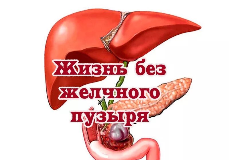 Без желчного пузыря пить можно. Оперирование желчного пузыря. Вырезка желчного пузыря.