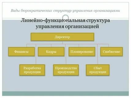 Линейная организационная структура управления это