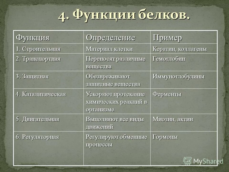 Название функций белка. Структуры белков и их функции. Белок структура строение функции. Функции белков биология 8 класс.