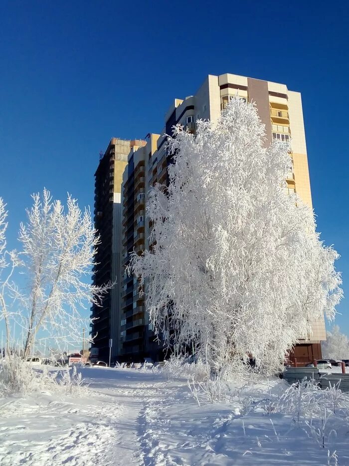 Зимой купить в новосибирске. Сибирь Краснообск. Зимний Новосибирск. Красообск ЖЛ масив солничный. Красивые места в Новосибирске зимой.