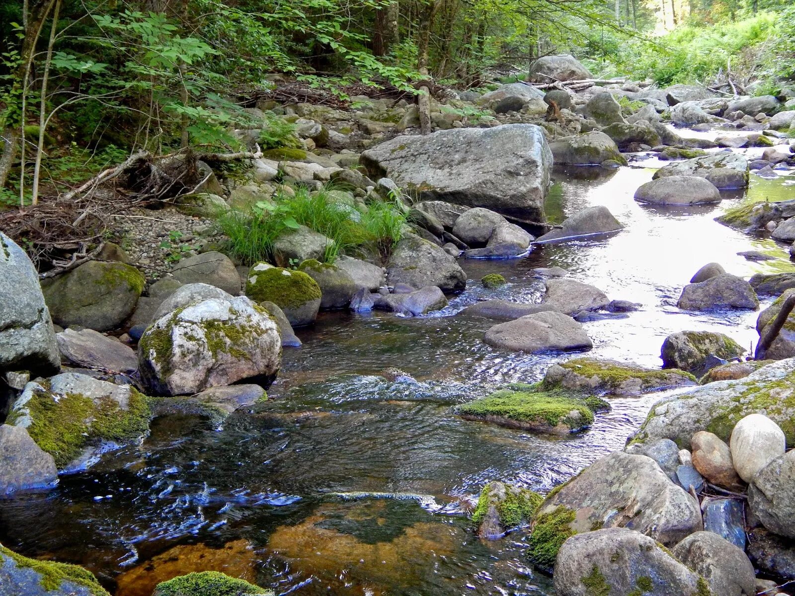 Short stream. Ручей в горах. Холодный ручей горы. Small Stream. Shallow Stream.