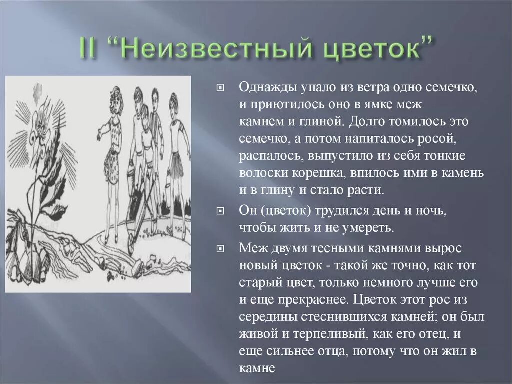 О чем произведение неизвестный цветок. Как жил неизвестный цветок. Платонов а. "неизвестный цветок". Сочинение неизвестный цветок. Рассказ неизвестный цветок.