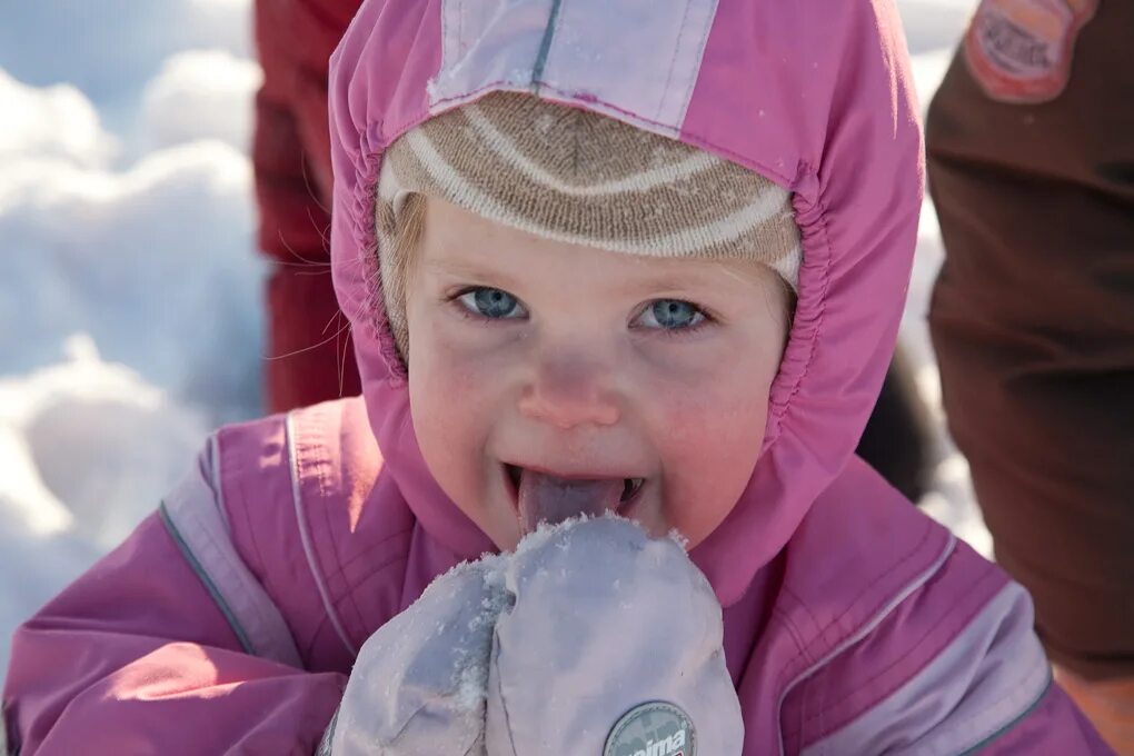 северный полюс люди. Stretching snow. какого вкуса снег. печенька в сахарной пудре. какого вкуса снег.