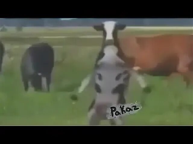Я кручу тебя