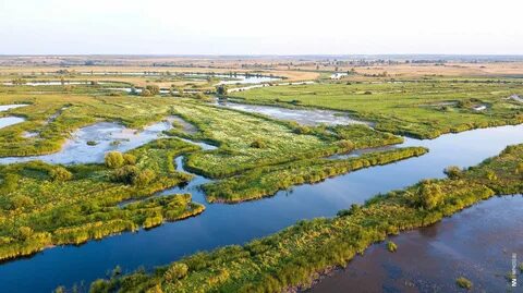 Протока в пойме реки 4 буквы сканворд