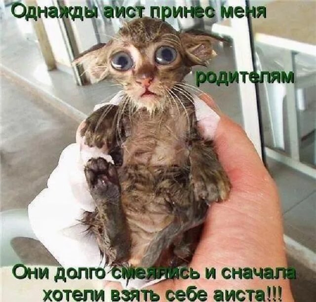 Смешнее есть что нибудь