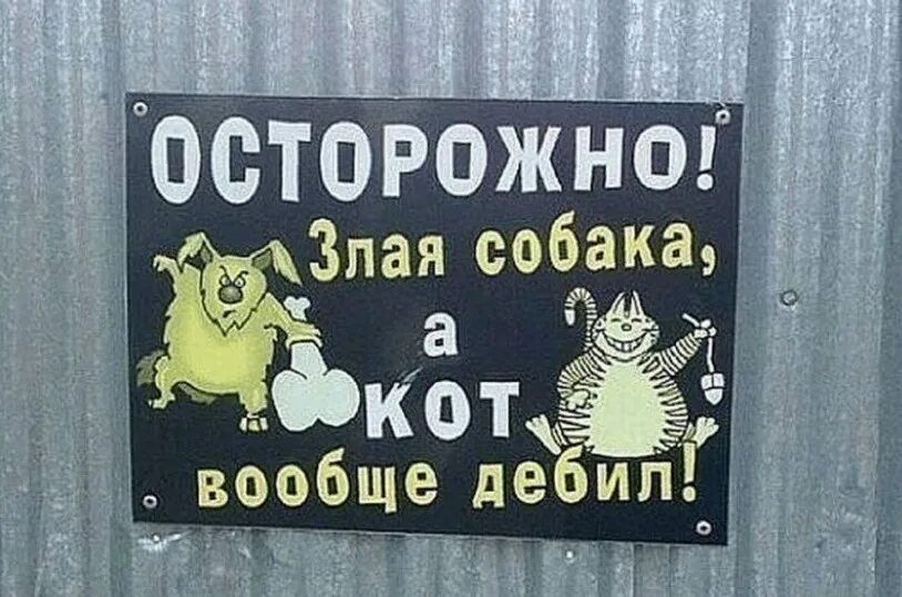 Табличка осторожно злая собака. Осторожно, злая собака!. Осторожно злая собака а кот вообще дебил табличка. Осторожно, злая собака!. Злая собака а кот вообще дебил.