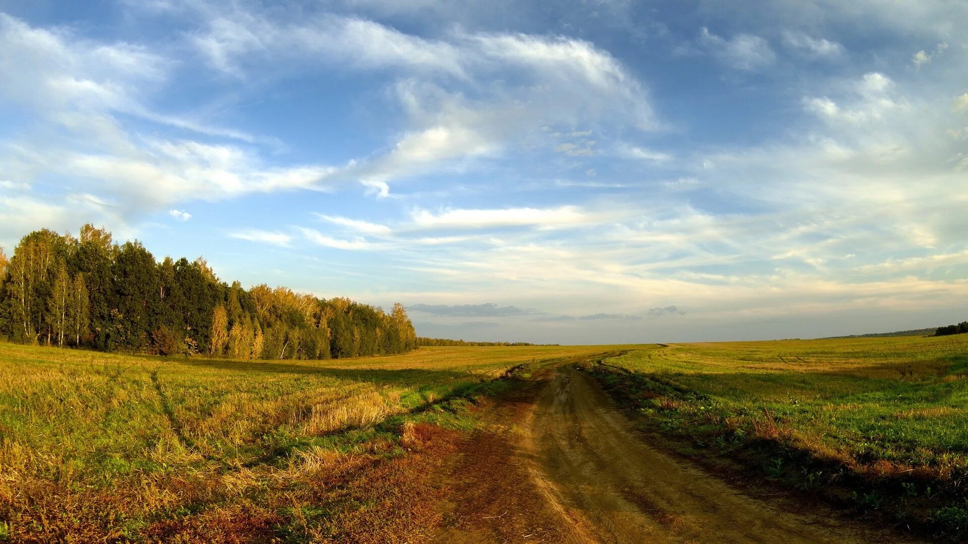 Деревня степь. Барабинская лесостепь. природа просёлочная дорога горизонт. проселочная дорога в поле. горизонт проселочная дорога.