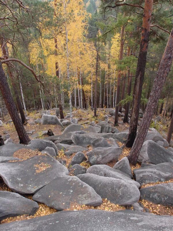 Stone екатеринбург. Соколиный камень Северка. Гора Соколиный камень Северка. Соколиный камень Екатеринбург. Скала Соколиный камень Екатеринбург.