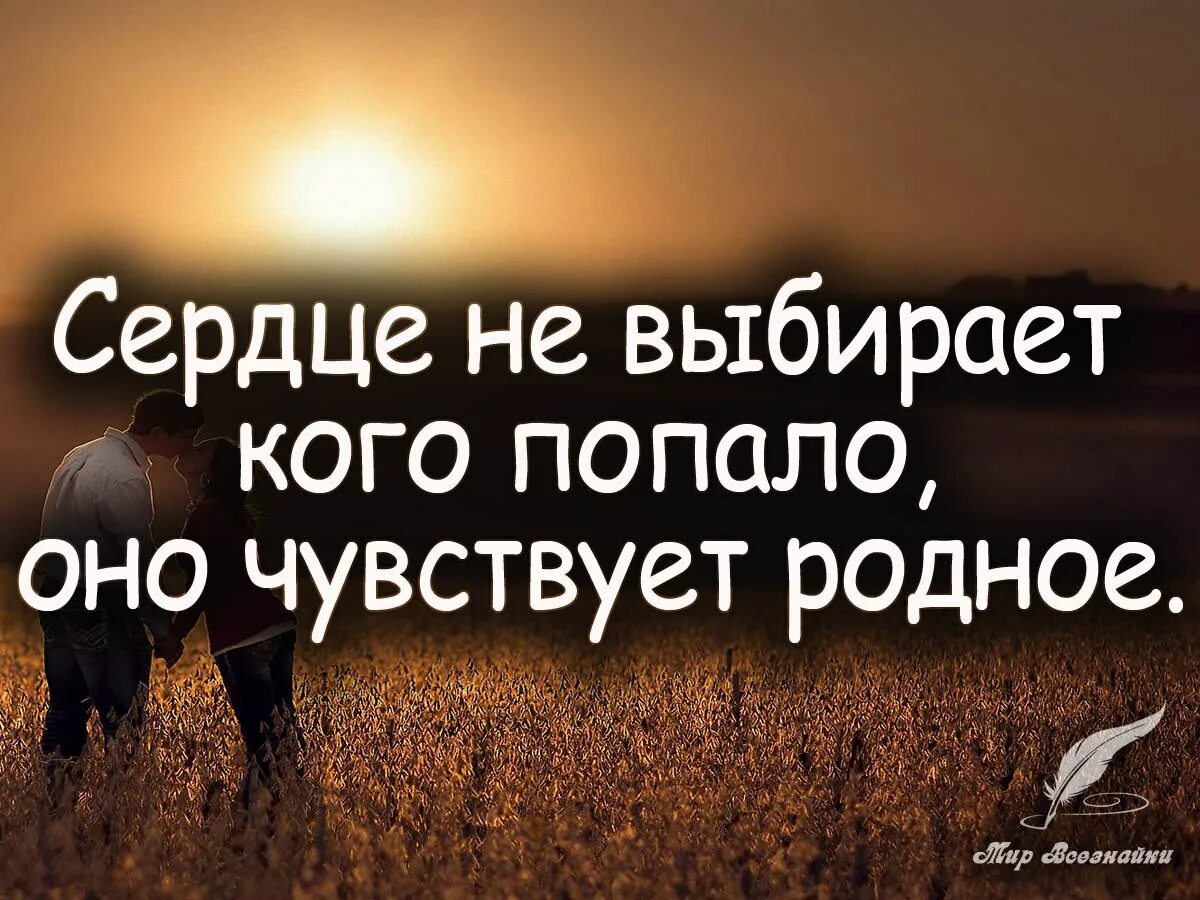 Высказывания о сердце. Высказывания про душу и сердце. Чистое сердце цитаты. Стишок про сердечко. Сердечки стихотворение.