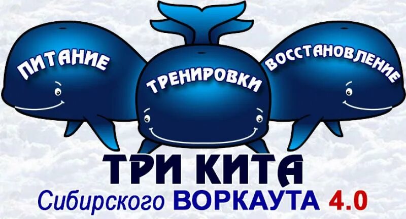 график работы три кита. три кита продаж. три кита. боулинг пермь кит гайва. график работы три кита.