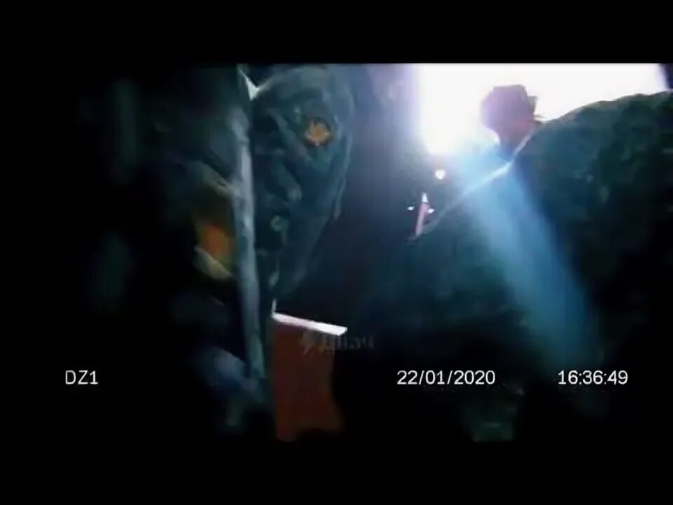 Колонии 2020