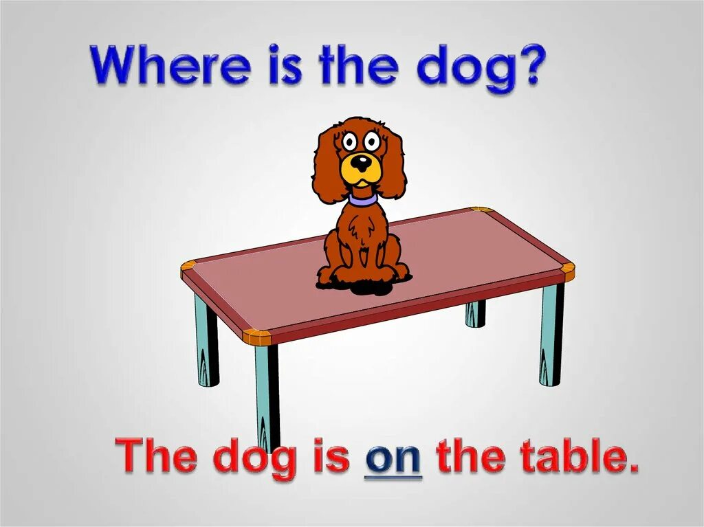 The desk is next to the. The dog is the table. on the table. where is the dog. dog on the table.