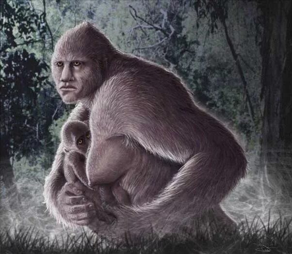 зана женщина снежный человек. женщина етти. баба снежного человека. зана снежный человек в абхазии. лесной человек.