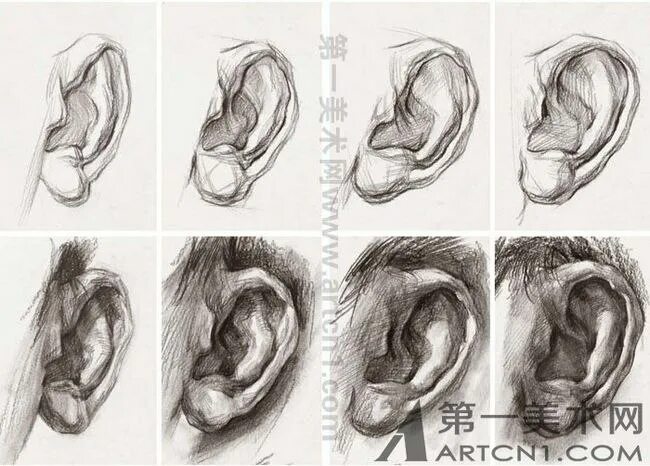 Ухо с разных ракурсов. Конструктивное построение уха. Ухо человека с разных ракурсов. Зарисовки уха в разных ракурсах. Уха поэтапно