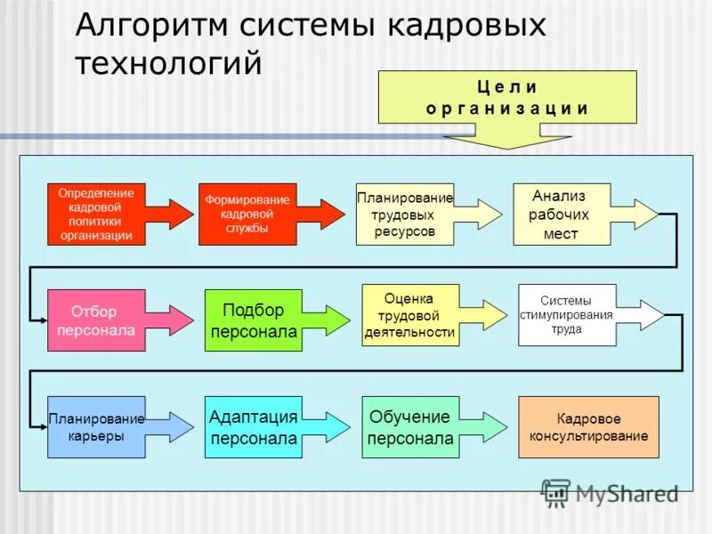 Технология кадровой работы. Алгоритм работы отдела кадров. Алгоритм работы кадровой службы в организации. Алгоритм работы отдела персонала. Алгоритм процесса подбора персонала.