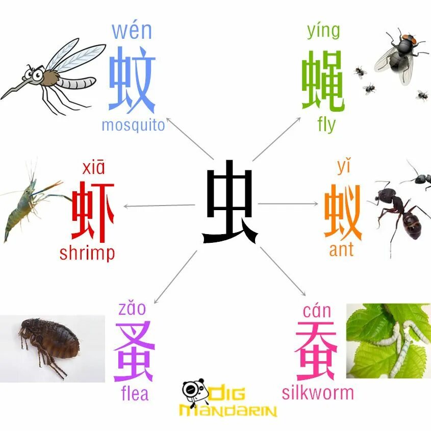 Похожие китайские слова. Китайские иероглифы. Китайские слова. Китайские иероглифы для детей. Китайский язык иллюстрации.