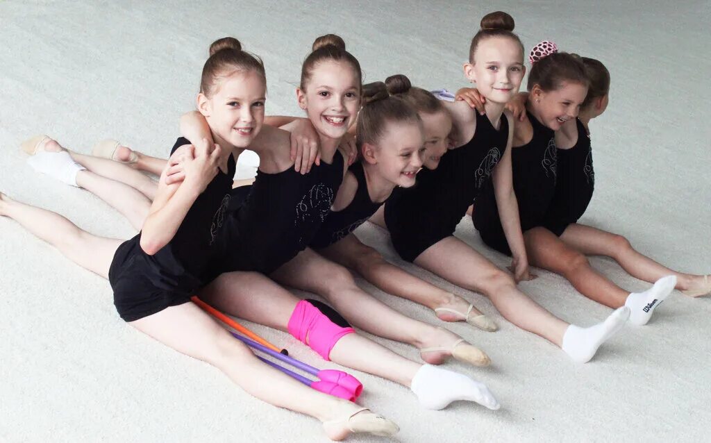 государственная спортивная школа художественной гимнастики