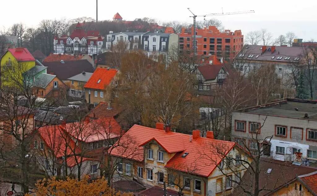 Зеленоградск урбанистика. Крыши Зеленоградска. Зеленоградск спальные районы. Школа в Зеленоградске Калининградской области.