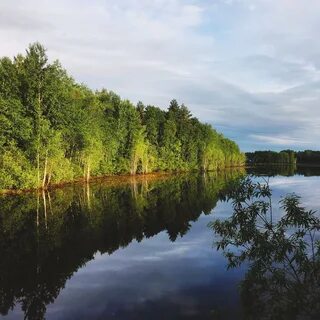Новгородская область сейчас