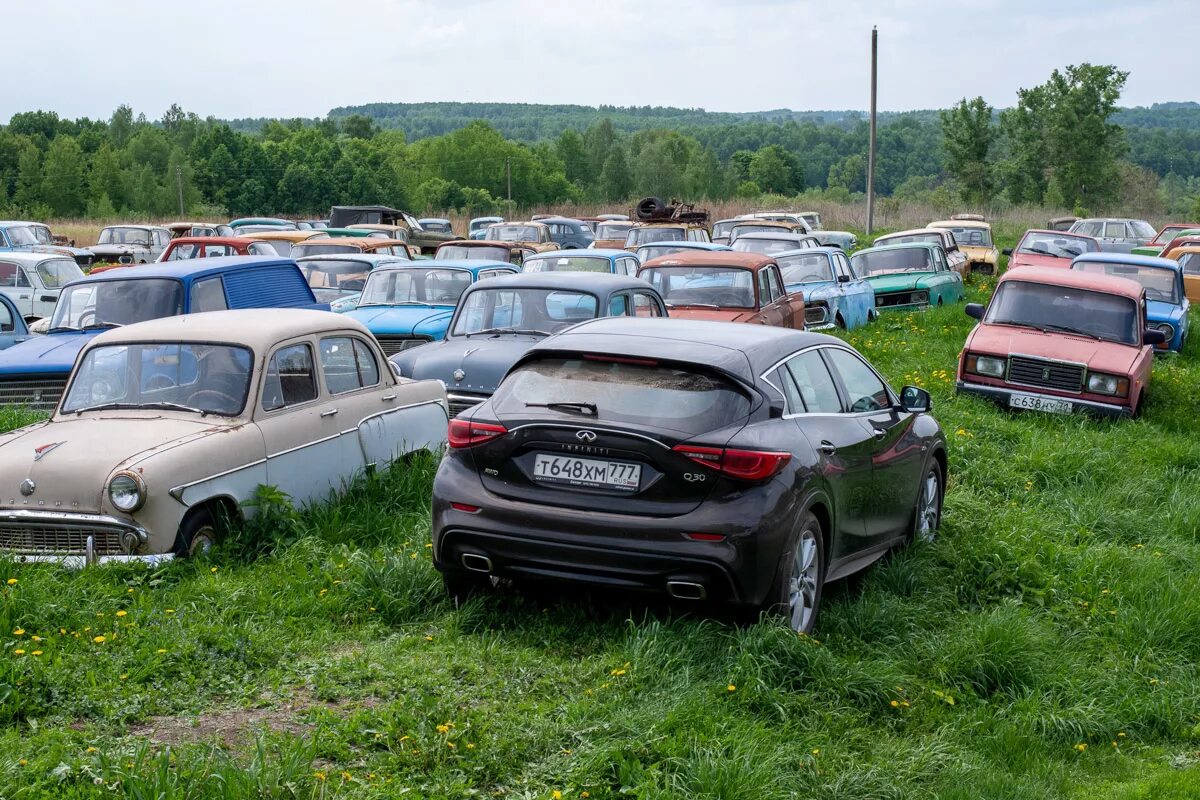 Кладбище автомобилей. Свалка автомобилей. Кладбище заброшенных автомобилей. Свалки автомобилей в Подмосковье. Машины б московская области