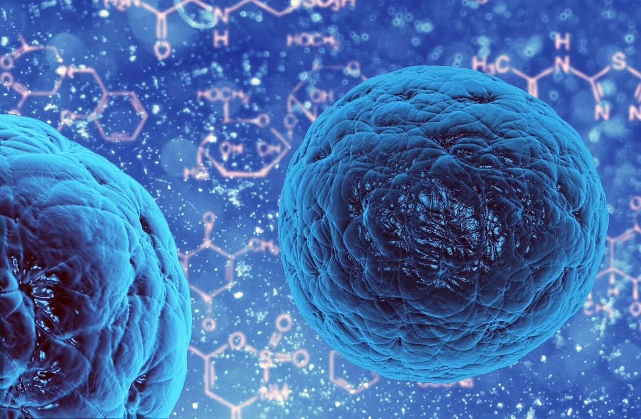 J stem cell