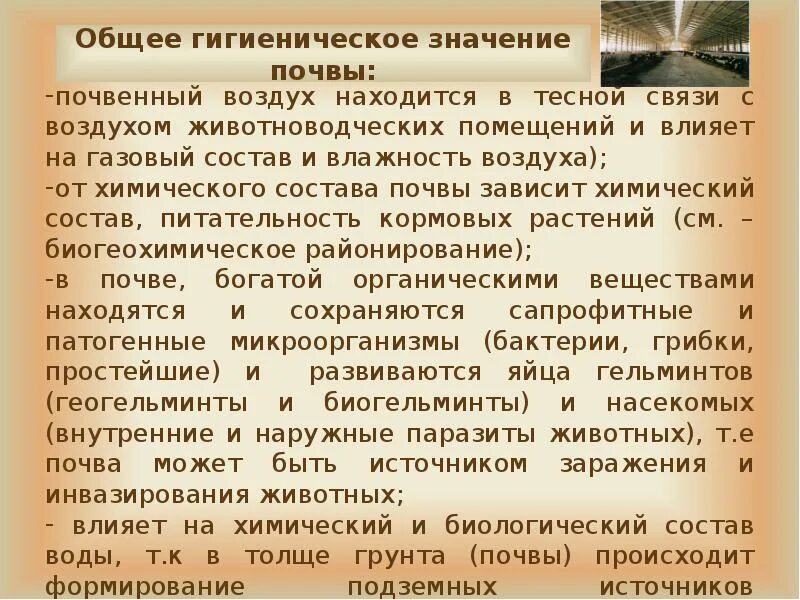 Гигиеническое значение состава. Гигиена почвы презентация. Гигиеническое значение почвы. Почва гигиена лекция. Лекция по гигиене почвы.