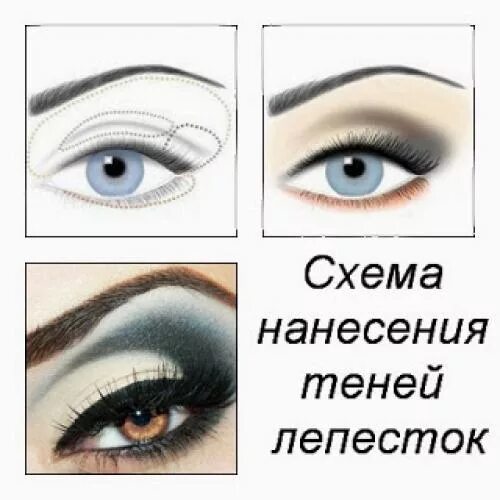 Схема растушевки. Схема нанесения теней на веки. схемы нанесения теней на глаза. макияж глаз схема нанесения теней. горизонтальная схема макияжа.