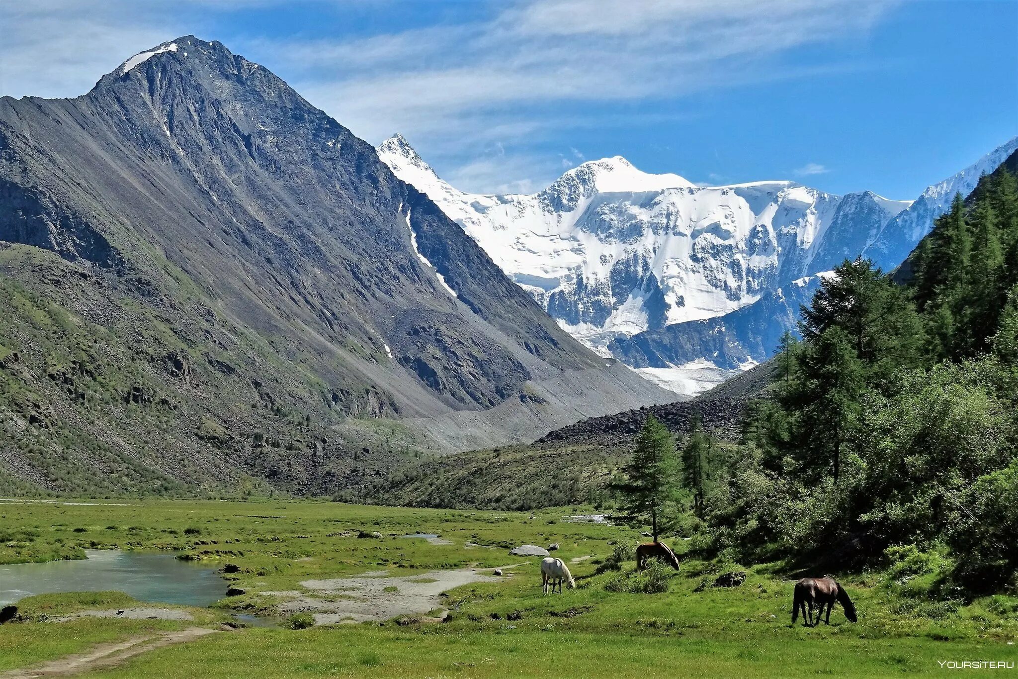Природный пояс у подножия гор алтай. Озеро Аккем Алтай. Белуха горный Алтай. Гора Белуха, горный Алтай. Золотые горы Алтая Белуха.