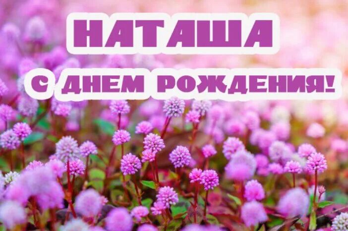 Смешные поздравления наталье. Наташа с днём. Открытка смднем рождения Наташа.