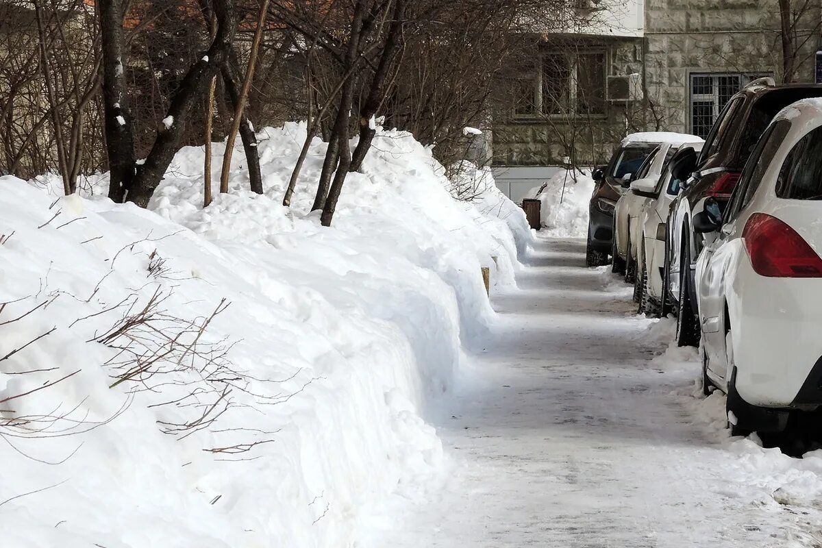 После 8 декабря. Декабрь без снега. Московский регион зимой. Похолодание в Подмосковье. В Москве похолодает.