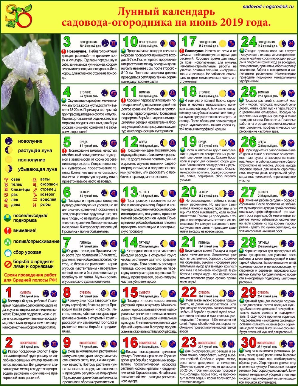 Календарь посадок. Календарь посадки растений. Календарь садовода на июнь. Нужен лунный календарь.