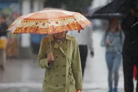 Дождь в конце лета сюжет
