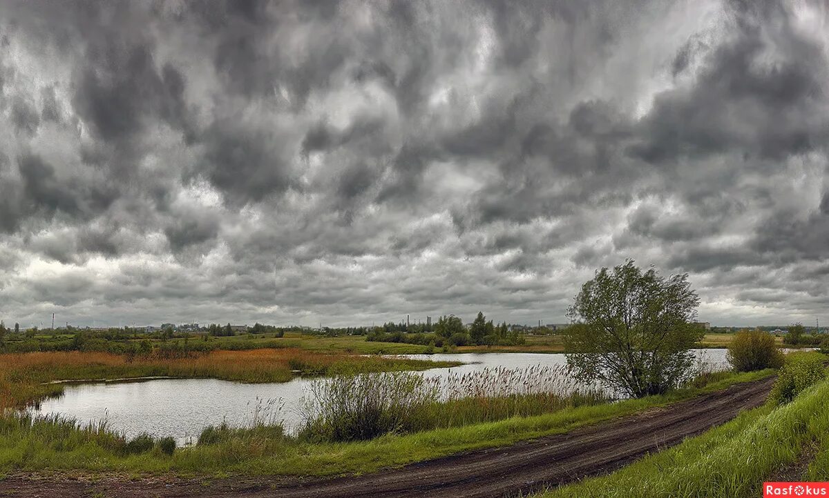 Пасмурный день. Природа пасмурно. Пасмурный день летом. Пасмурная погода. Пасмурная 21