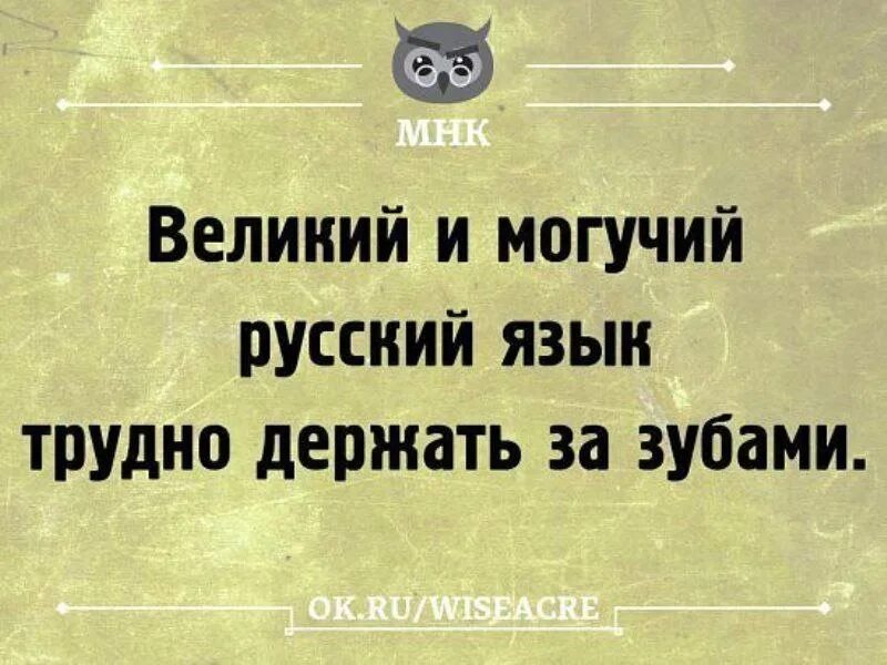 Русский язык тебя приходи. День филолога юмор. Смешное про филологов. Приколы про филологов. Поздравление с днем филолога прикольные.