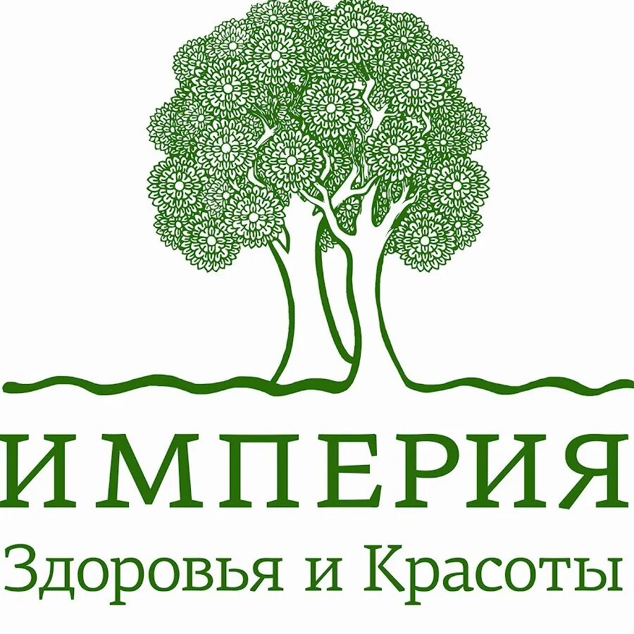 Заречная 29 балашиха. Империя здоровья балашиха заречная. Империя здоровья и красоты балашиха. Империя здоровья и красоты балашиха. Империя здоровья и красоты заречная ул.