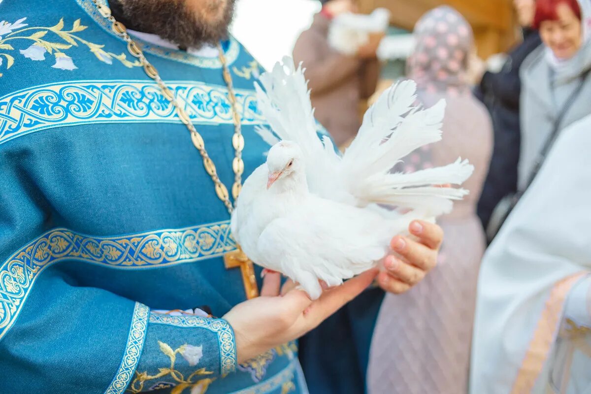 Благовещение в какой одежде. С Благовещением Пресвятой Богородицы. Благовещение голуби. Благовещение традиции. Голубь в храме.