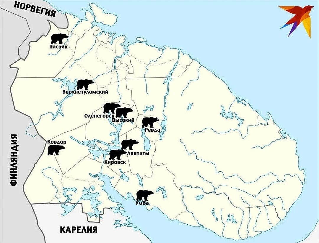 Ковдор на карте. Кировск Мурманская область на карте России. Ковдор на карте Мурманской области. Ревда Мурманская область на карте Мурманской. Карта медведей Мурманская область.